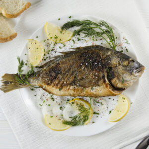 TAPA TILAPIA